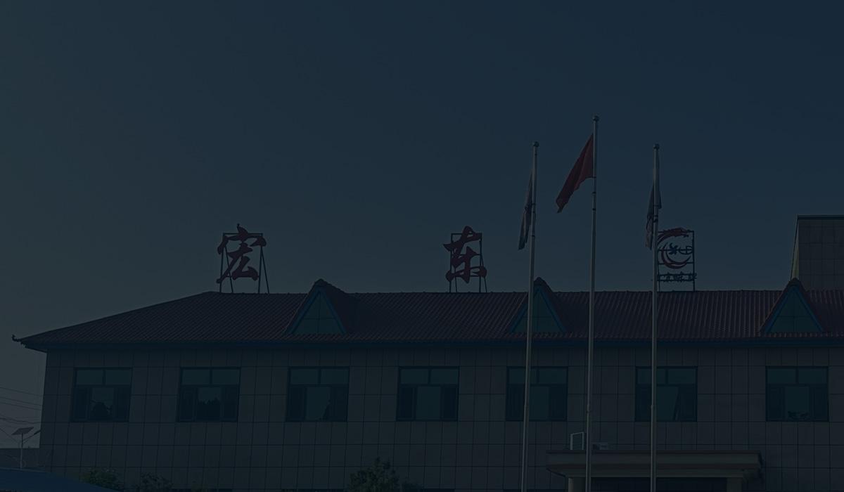 Professional Focus On Quality Assurance